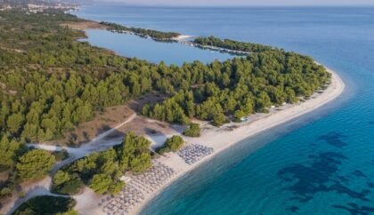 Aerial view of Halkidiki featuring a pristine coastline with clear turquoise waters and white sandy beaches lined with sun loungers. The beach is bordered by lush green pine forests, creating a serene and picturesque landscape.
