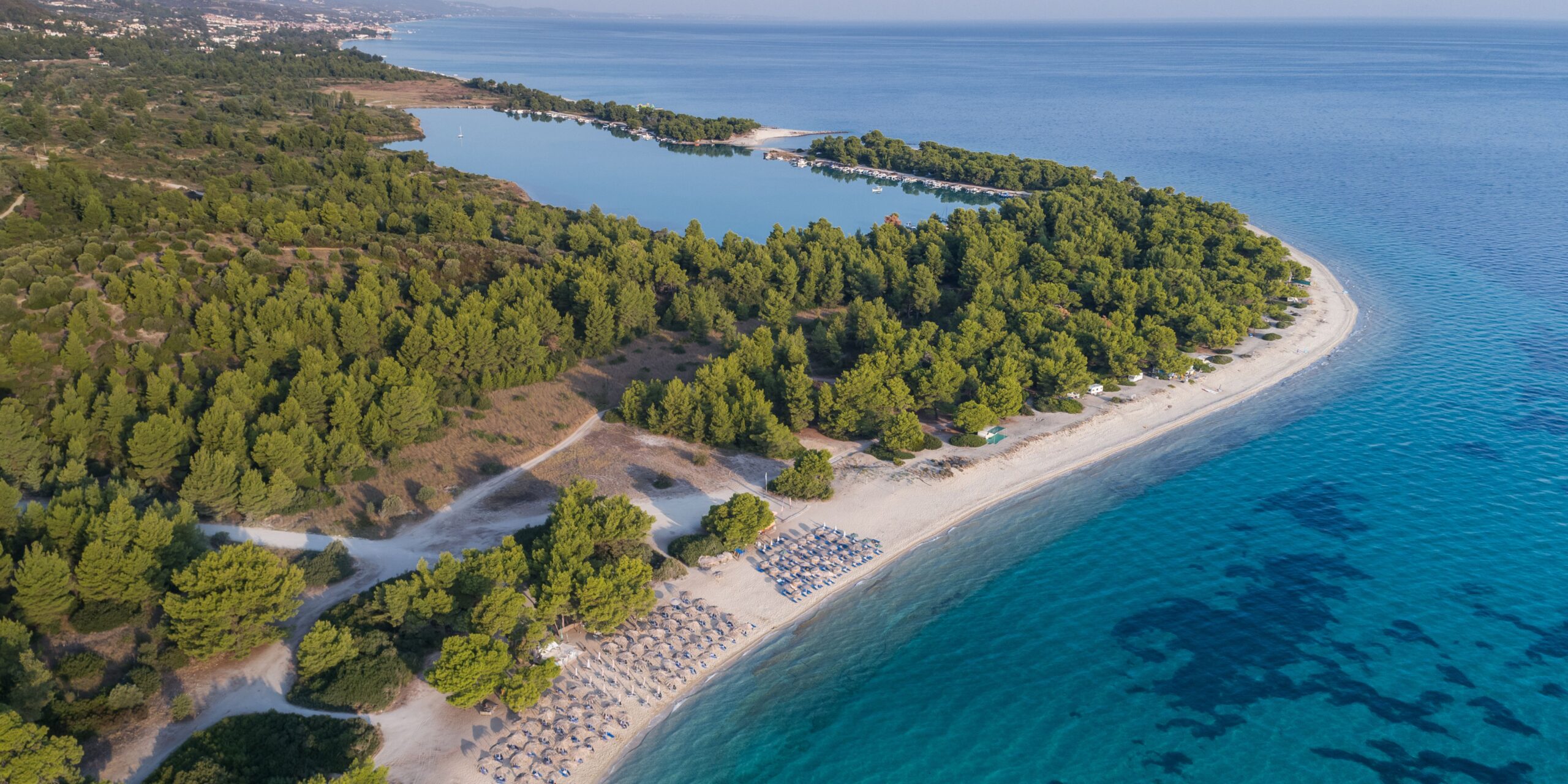 Aerial view of Halkidiki featuring a pristine coastline with clear turquoise waters and white sandy beaches lined with sun loungers. The beach is bordered by lush green pine forests, creating a serene and picturesque landscape.