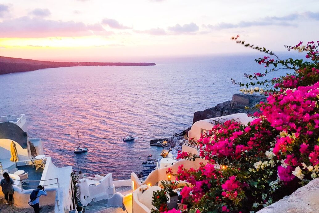 A breathtaking Santorini sunset with vibrant pink flowers in the foreground, overlooking the calm sea dotted with boats and the warm glow of the setting sun on the horizon.