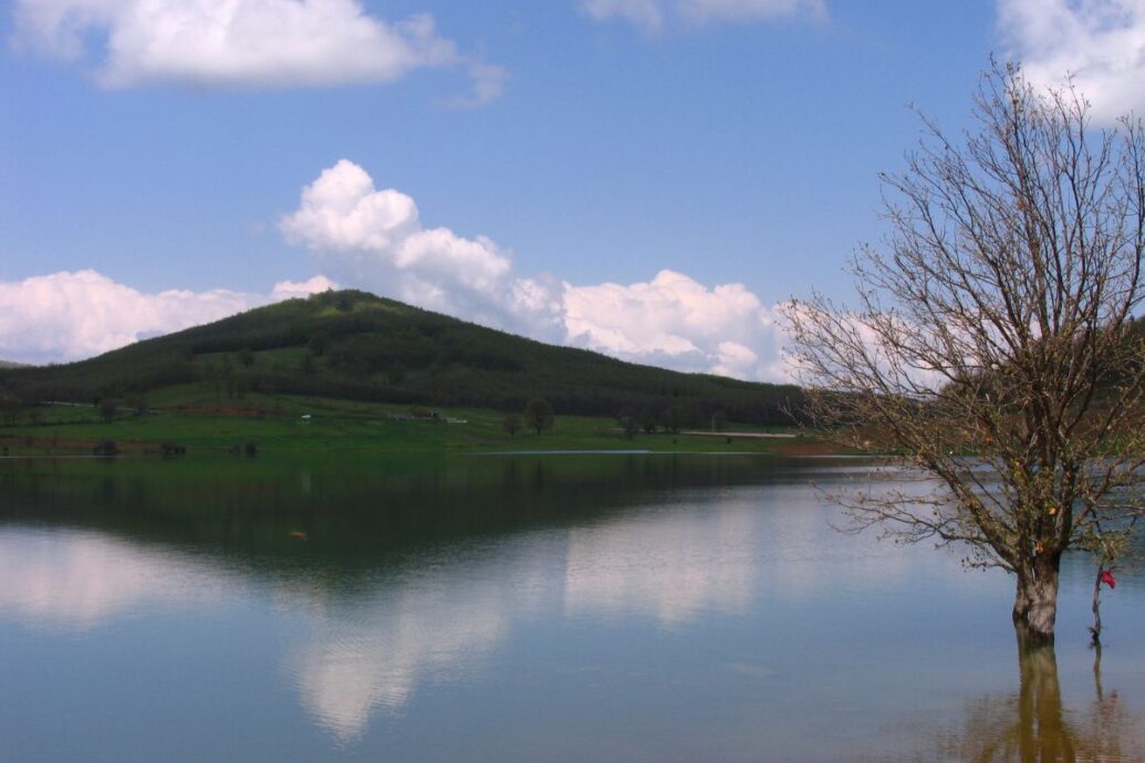 A serene view of Lake Plastira in Greece, with calm water reflecting a tree and surrounding hills under a partly cloudy sky.